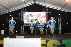 51A0442-Middel